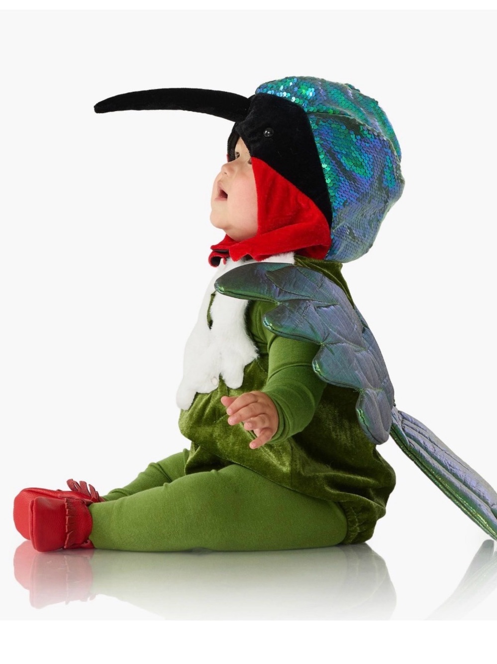 Pottery Barn Kids Hummingbird Halloween Costume 12-24M